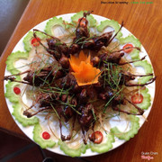 chim sẻ quay giòn