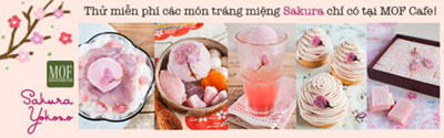 Thưởng thức Sakura Yokoso vừa đẹp mắt vừa ngon miệng