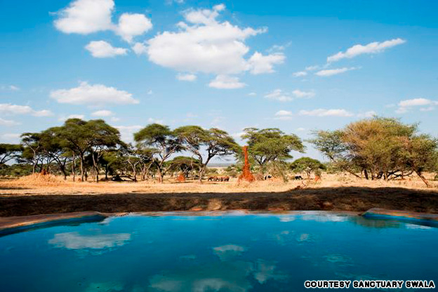 Sanctuary_Swala_Tarangire_Tanzania