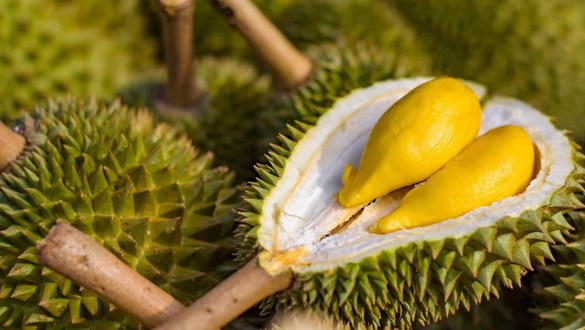 Sầu Riêng Sạch - Trần Bình Trọng