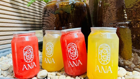 Nước Ép Đóng Lon - Ana Juice - Đường 30 Tháng 4