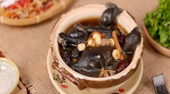 Gà Ác Tiềm An An - Phan Huy Ích