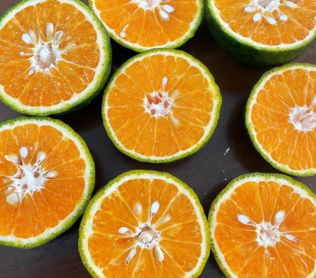 Càm Sành Đại Phúc - Trần Lê Chợ Hoà Xuân