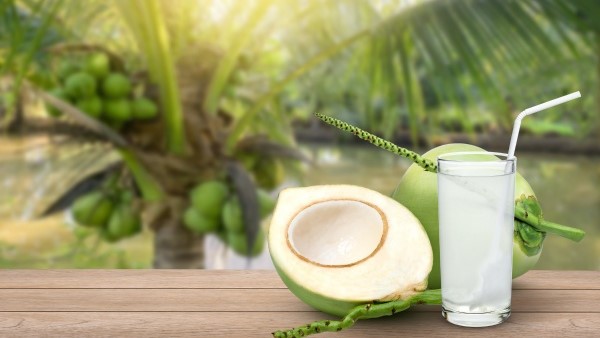 Bin - Nước Dừa Tươi & Hạt Đác