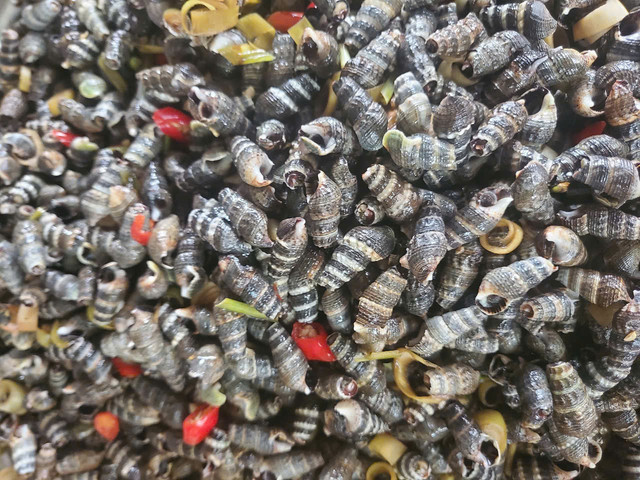 Ốc Phượng - 25 Chữ Đồng Tử