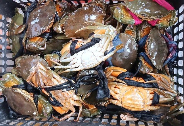 Chàng Cua - Cua Cà Mau Chính Gốc Bao Ăn