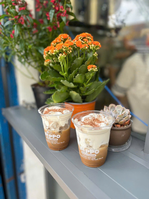 HIPPO Trà Sữa, Trà Trái Cây & Cà Phê Muối