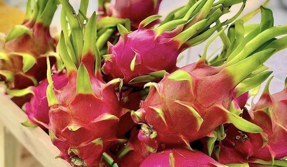 FRUIT GARDEN - 313 Trần Hưng Đạo