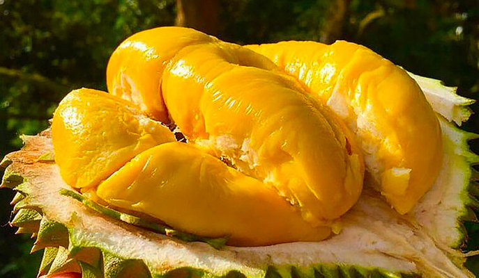 Sầu Riêng Ban Mê - Di Di Fruits