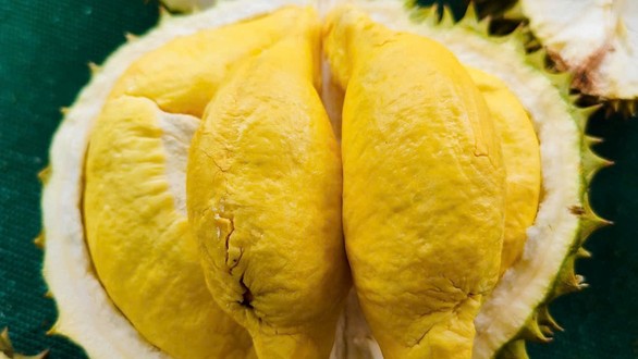 Sầu Riêng Sạch Thủ Đức - Đường 79