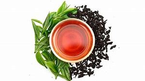 Hồng Trà Bảo Lộc - 19 Trần Văn Kỷ