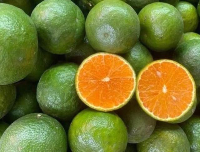 Cam Ép Nguyên Chất & Cam Trái Chương Dương