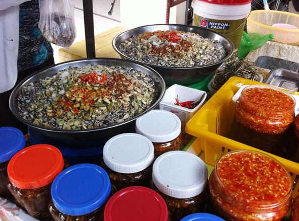 Ốc Lễ Hội An - Đinh Gia Trinh