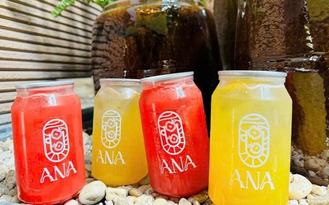 Ana Juice - Nước Ép Đóng Lon - Lái Thiêu