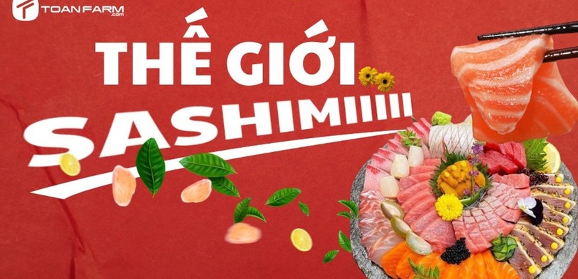 Sashimi Cá Hồi, Cá Trích & Món Nhật - Toàn Farm - Nguyễn Trường Tộ
