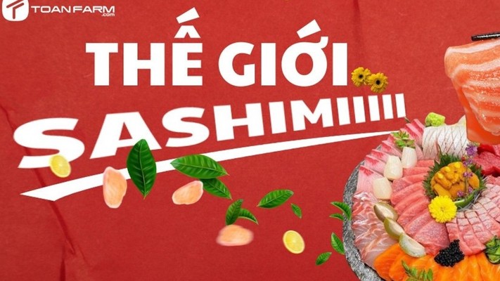 Sashimi Cá Hồi, Cá Trích & Món Nhật - Toàn Farm - Phạm Văn Nghị