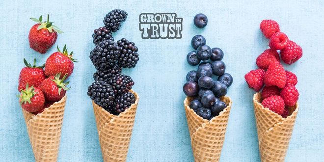 TEST - Fanny Ice Cream (self deli-pickup)