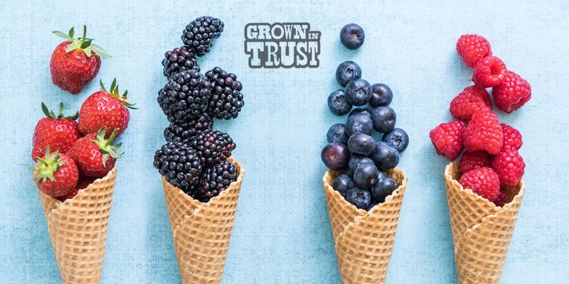 TEST - Fanny Ice Cream (self deli-pickup)