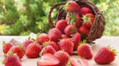 Mai Nhi Strawberry - Trần Nguyễn Hãn