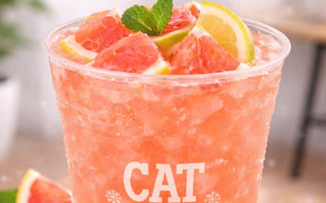 Cat Tea & Coffee - Trà Sữa & Latte