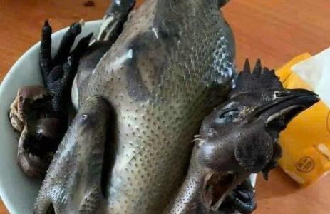 Gà Ác Tiềm Thuốc Bắc - Liên Huyện