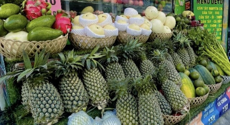 Nhàn Vũ - Nước Ép Hoa Quả Tươi - 41 Nam Pháp 1