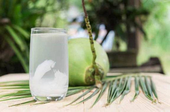 Dừa Xiêm Ninh Hoà - 47C Vân Đồn