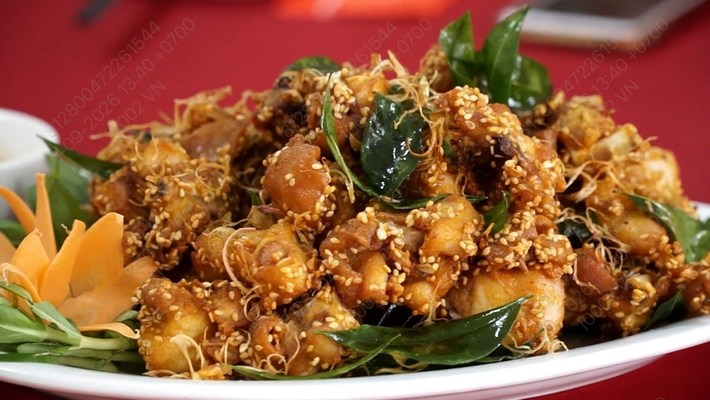 Thỏ Tươi Hà Béo - 61 Ngô Gia Tự