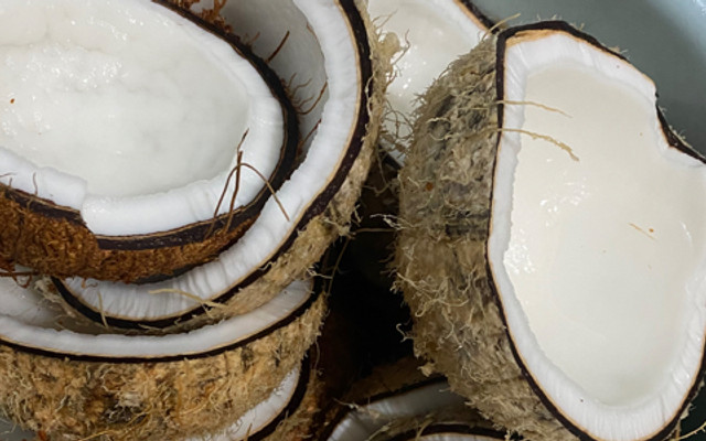 Sữa Dừa Nguyên Vị - Nhà AT - Vân Đồn