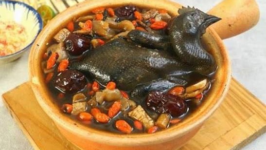 GÀ ÁC TIỀM THUỐC BẮC - NGUYỄN CHÁNH