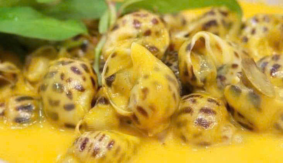 Ốc Lâm - Đường 268