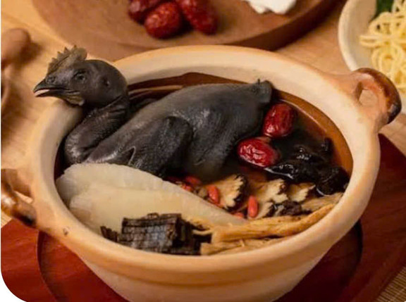 AQUA - Gà Tiềm, Vịt Tiềm & Lẩu