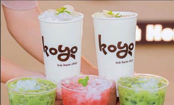 KOYO TEA - Trà Hem Nhạt