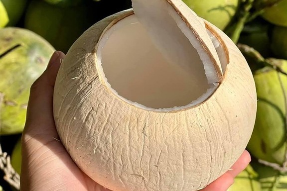 DỪA CHẠM