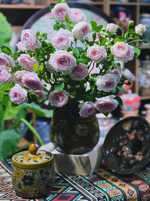 QA Test - Yellow - Oct 2025