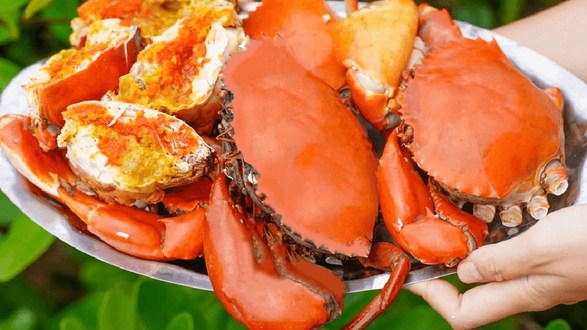 Vitamin Cua - Tiệm Cua Q8