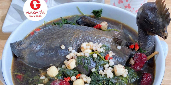 Vua Gà Tần - Since 1999 - Quận 1