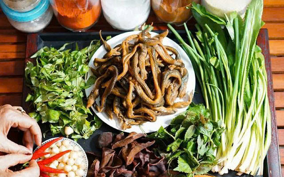 Lươn Đồng Xứ Nghệ - Thái Nguyễn Quán - Trần Văn Ơn