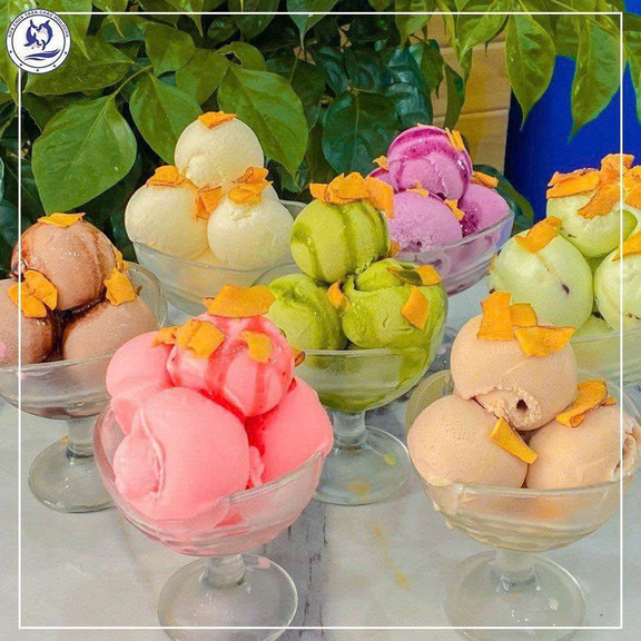 Sữa Chua Trân Châu Houjicha - Vĩnh Tân