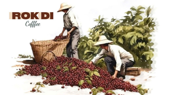 ROK DI COFFEE - 2267/1B An Phú Đông