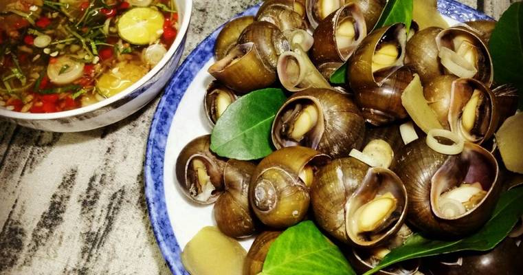 Ốc Chị Lệ - 88 Cửa Bắc