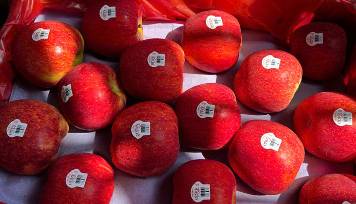 Bách Hoá Bảo Thy - Trái Cây Nhập Khẩu - Hoà Bình