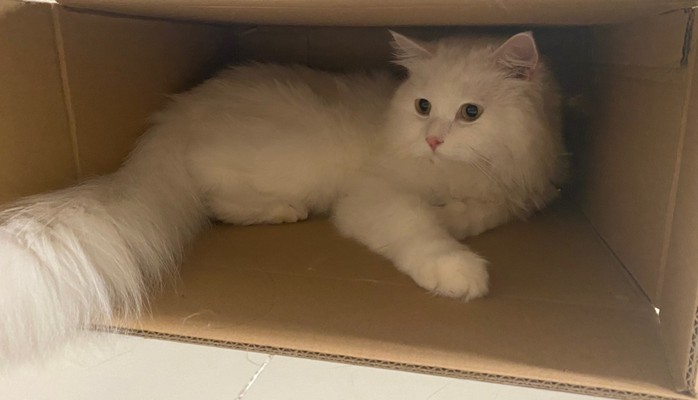 Nhung - Điện Biên - Test