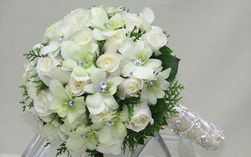 Hồng Sa Mạc - Phố Huế