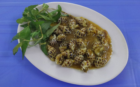 Ốc Hihi - Trần Quý Cáp