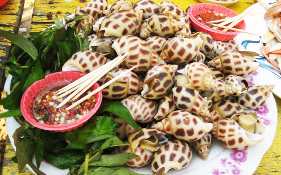 Ốc Liên - Trương Quốc Dung