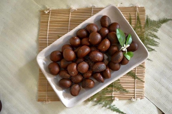 Hạt Dẻ Gò Vấp