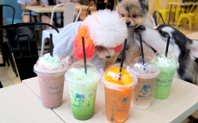 Ken’s House - Coffee & Pet