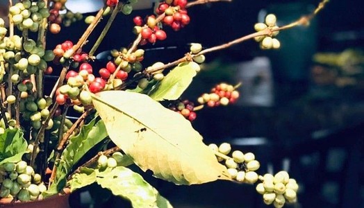 Top 8 quán cafe "nóc nhà" bao trọn Hà Nội tuyệt đẹp triệu người mê