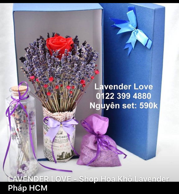 Lavender Love